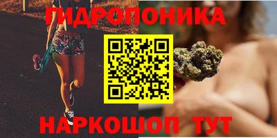 каннабис Будённовск