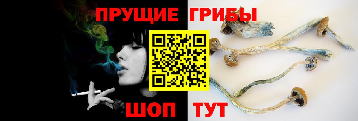 Моршанск  Псилоцибиновые грибы Magic Shrooms  Вход с VPN 