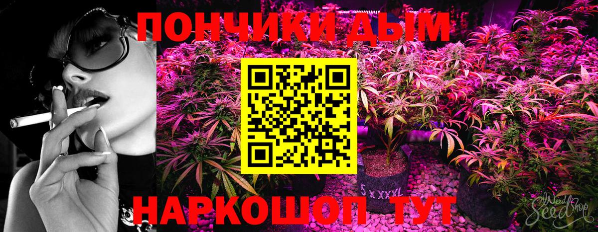 Моршанск  Шишки марихуана Bruce Banner  Вход с VPN  Бошки Шишки сатива  Бошки Шишки ГИДРОПОН 